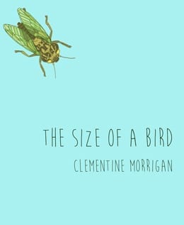 Size of a Bird cover