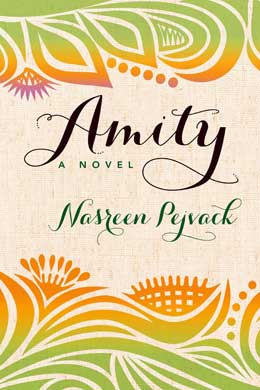 Amity cover