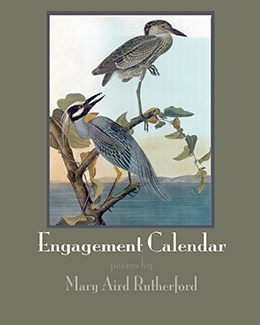 Engagement Calender cover