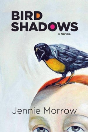 Bird Shadows cover